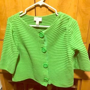 Ann Taylor Loft sweater, size M